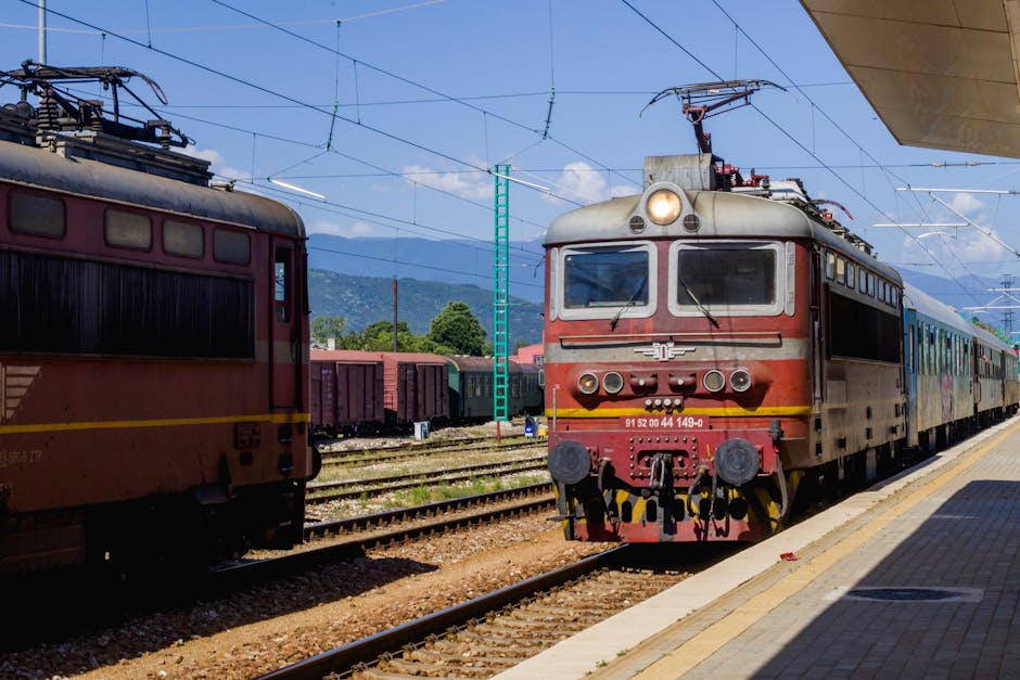 Курсы программирования и веб-дизайна